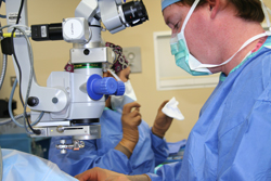 Klicken Sie hier, um das Bild zu vergroessern Bild: Faulhaber