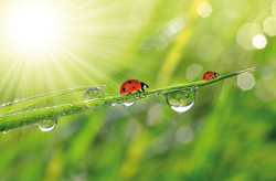 Bild: Fotolia/vencav